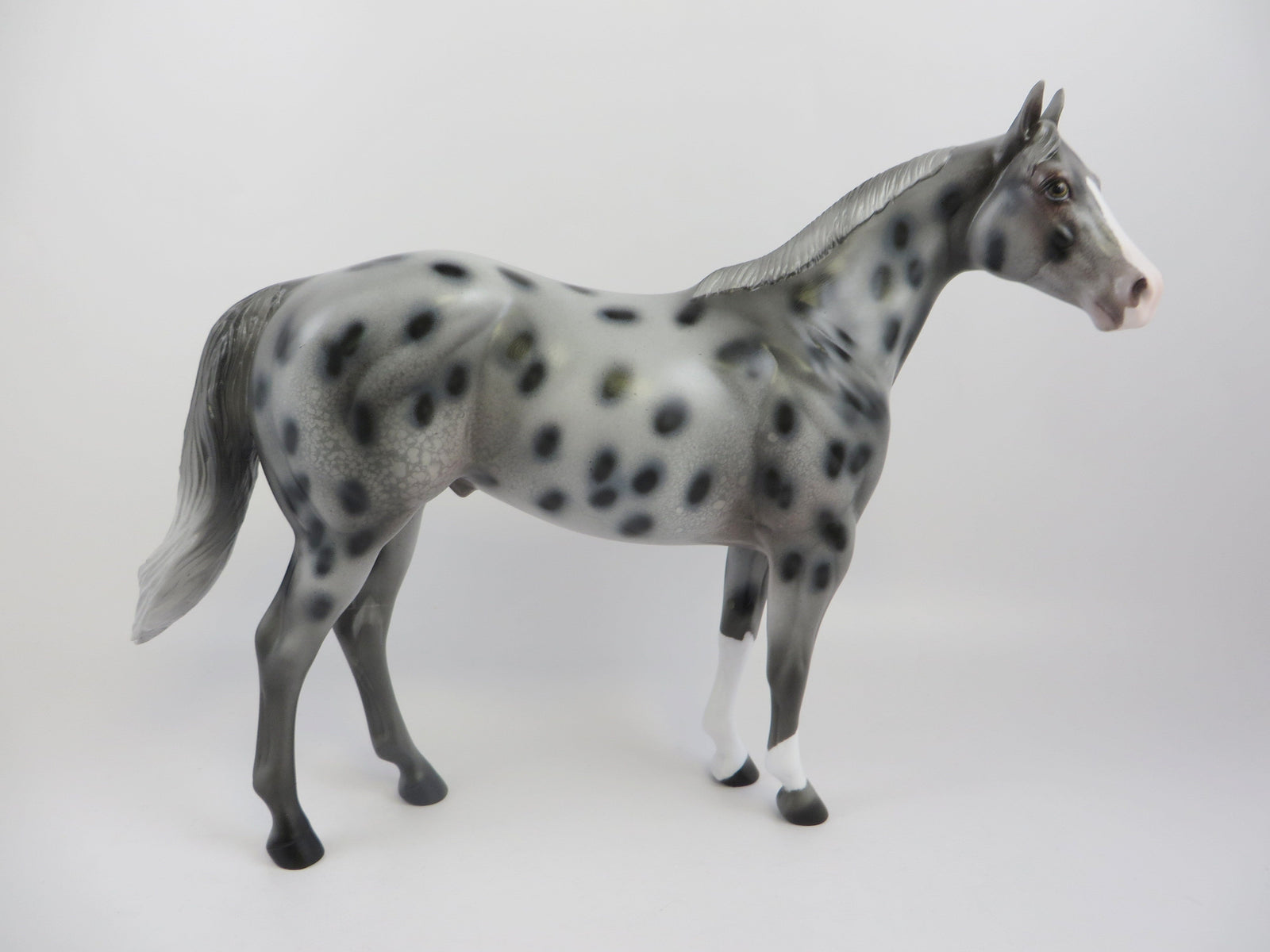 PATE-OOAK APPALOOSA ISH MODEL HORSE EQ 2019