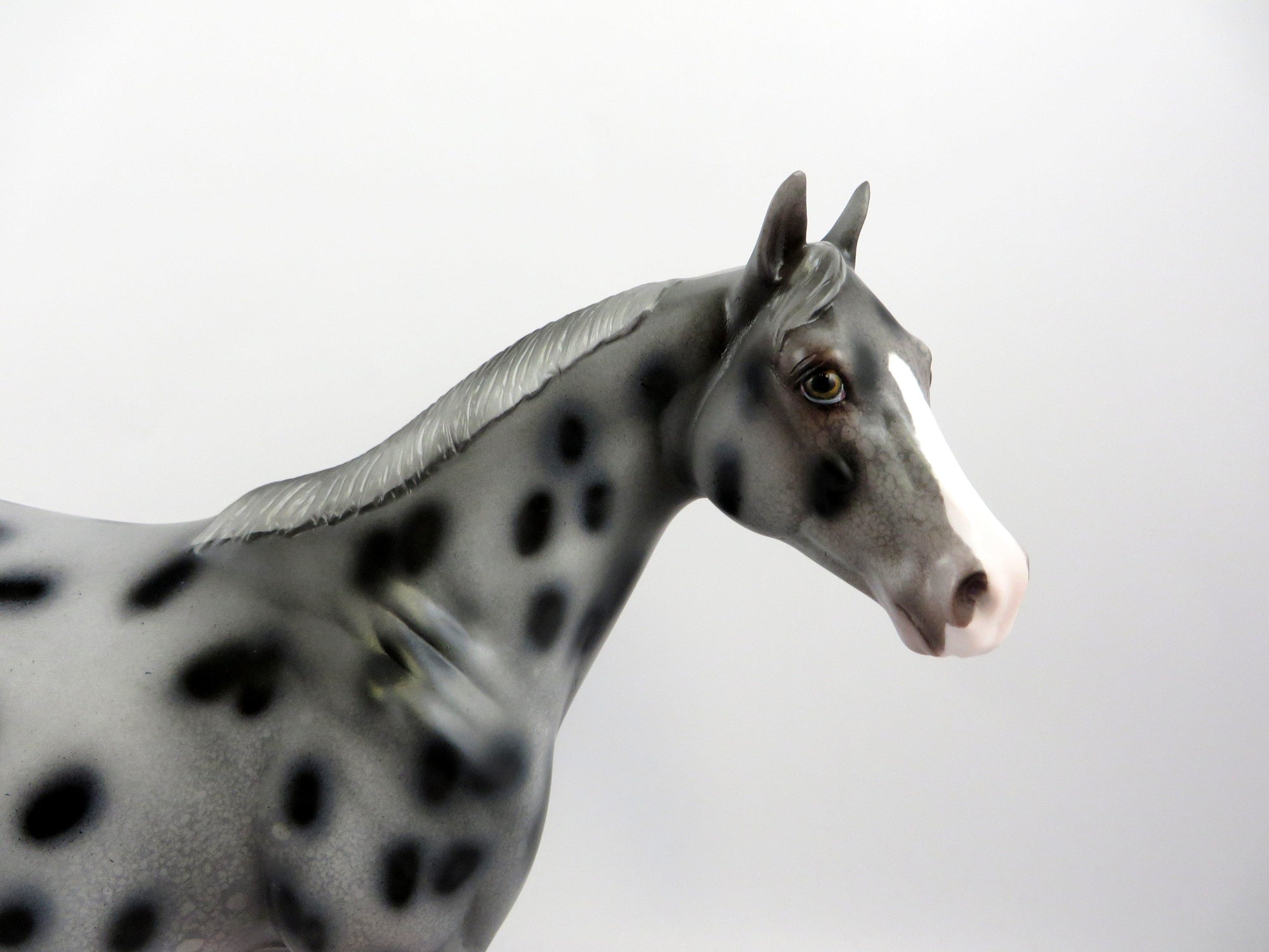 PATE-OOAK APPALOOSA ISH MODEL HORSE EQ 2019