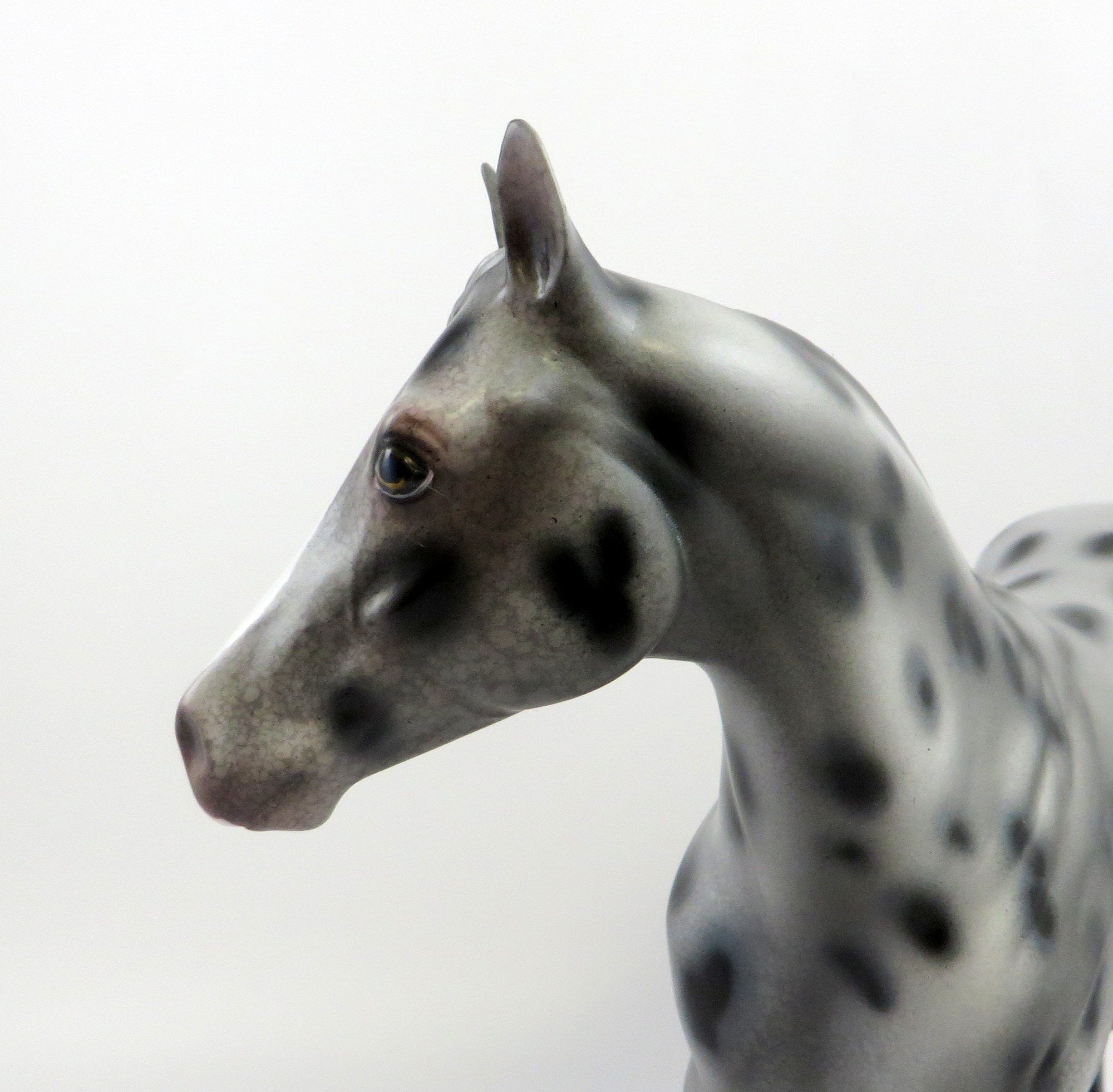 PATE-OOAK APPALOOSA ISH MODEL HORSE EQ 2019