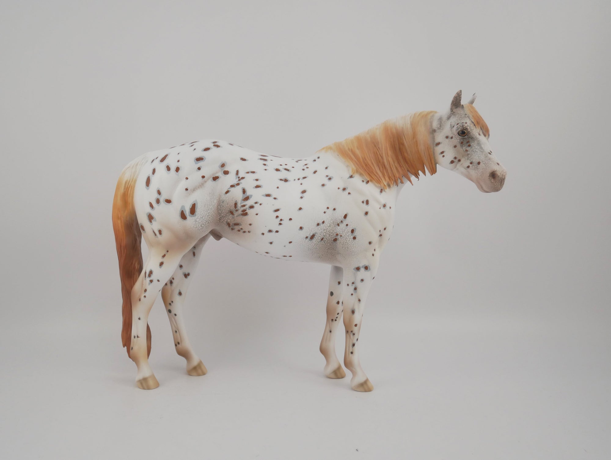 Pathos-OOAK Appaloosa ISH By Dawn Quick