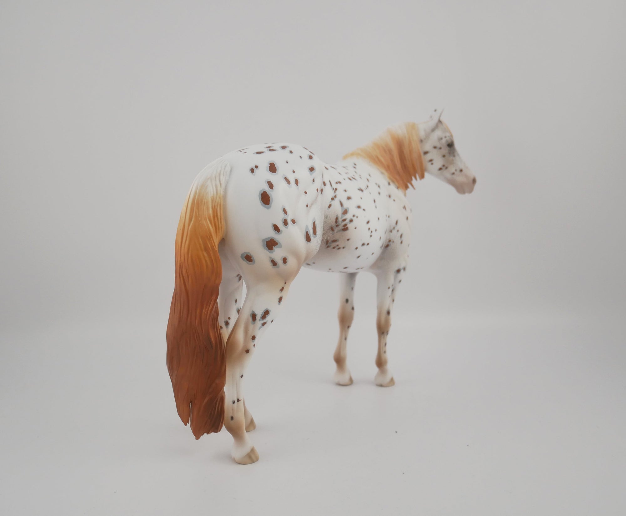 Pathos-OOAK Appaloosa ISH By Dawn Quick