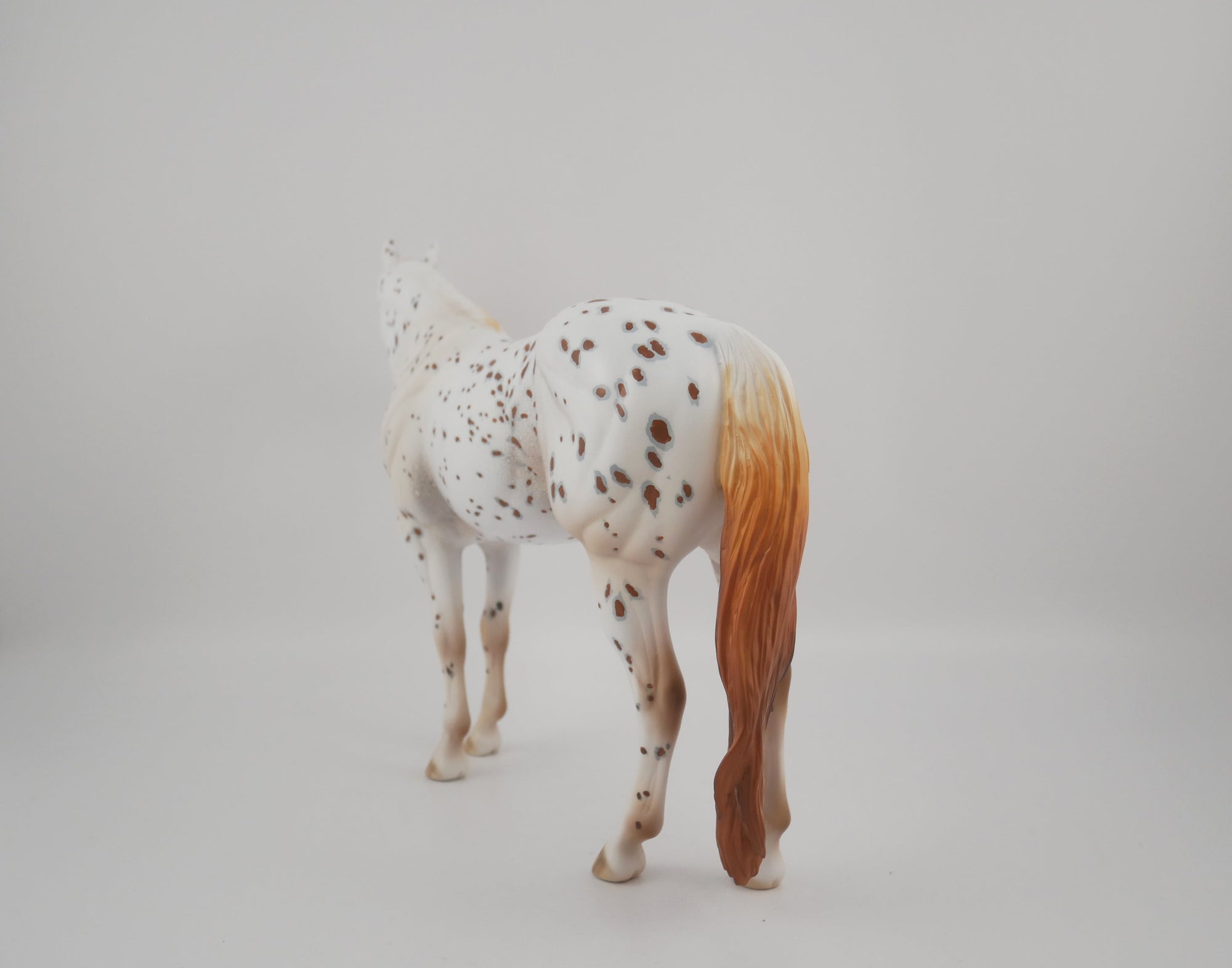 Pathos-OOAK Appaloosa ISH By Dawn Quick