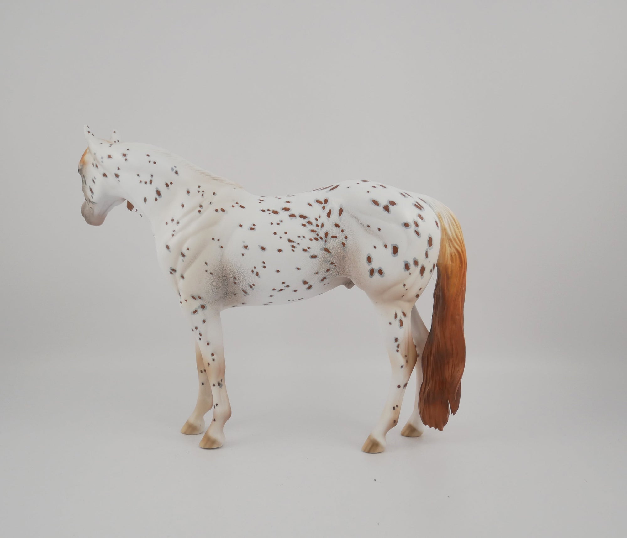 Pathos-OOAK Appaloosa ISH By Dawn Quick