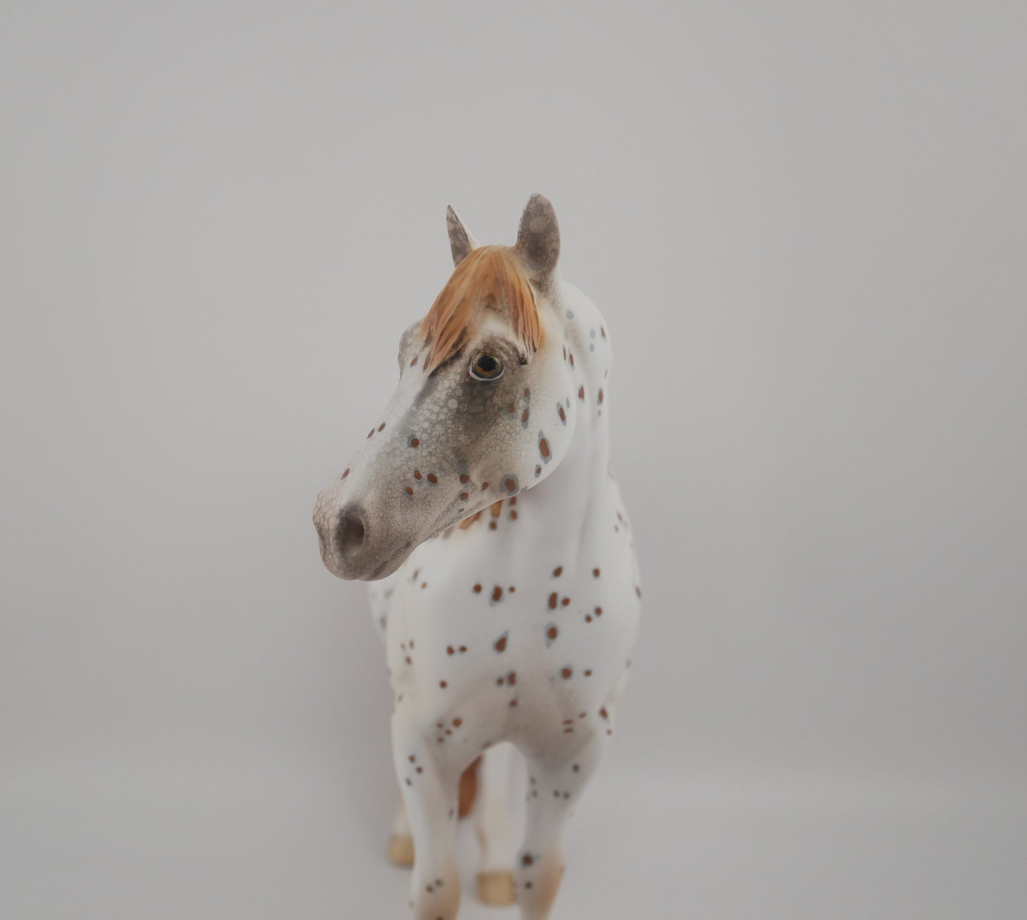 Pathos-OOAK Appaloosa ISH By Dawn Quick