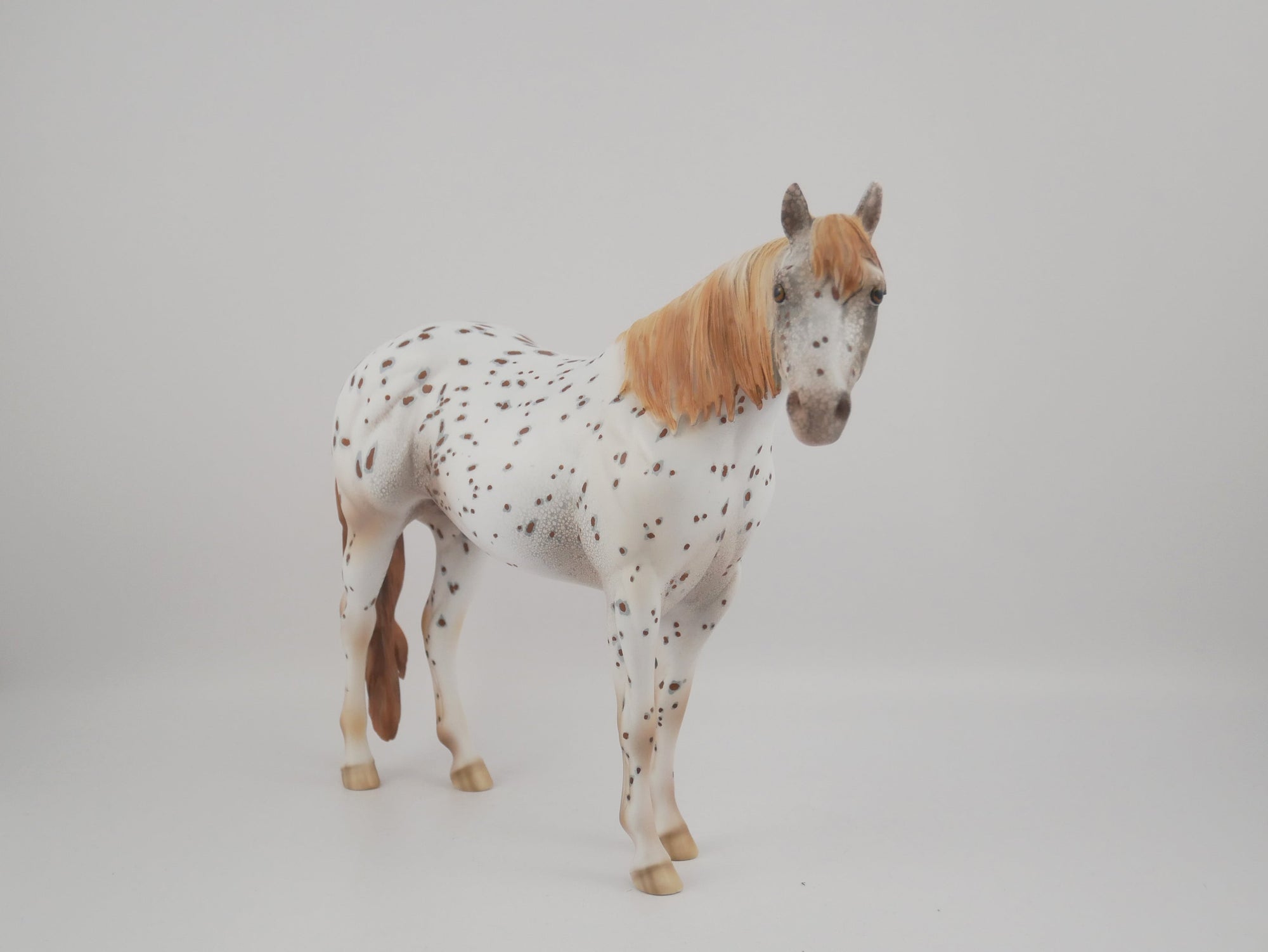 Pathos-OOAK Appaloosa ISH By Dawn Quick
