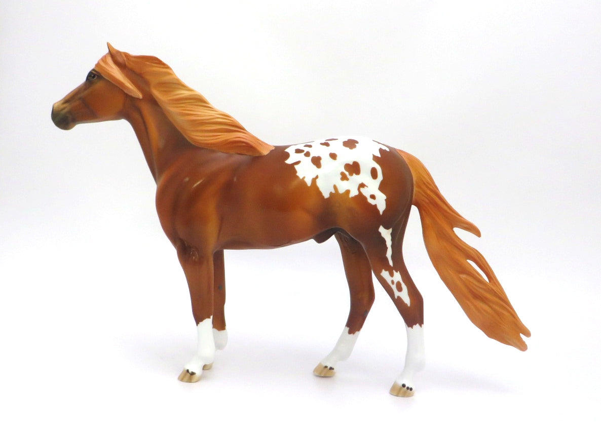 PAW PAW -- LE-5 BLANKET CHESTNUT APPALOOSA  MUSTANG  BY DAWN QUICK EA/MW 20