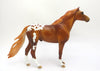 PAW PAW -- LE-5 BLANKET CHESTNUT APPALOOSA  MUSTANG  BY DAWN QUICK EA/MW 20