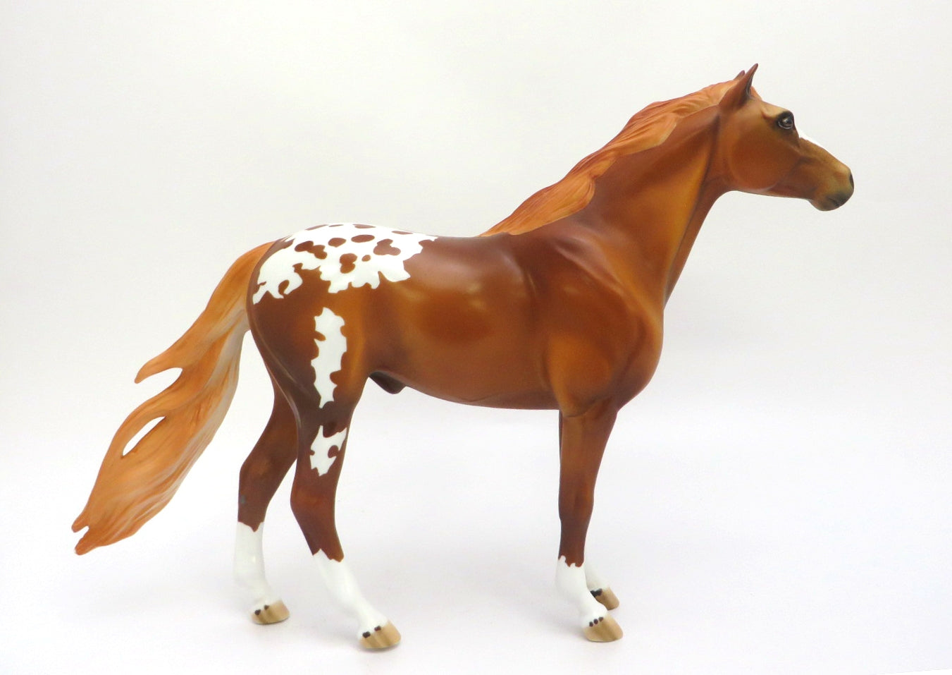 PAW PAW -- LE-5 BLANKET CHESTNUT APPALOOSA  MUSTANG  BY DAWN QUICK EA/MW 20
