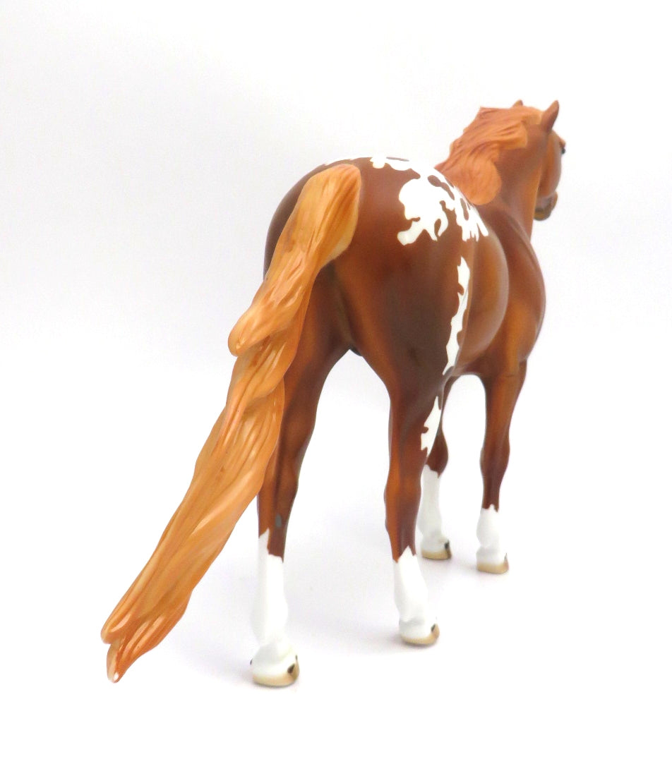 PAW PAW -- LE-5 BLANKET CHESTNUT APPALOOSA  MUSTANG  BY DAWN QUICK EA/MW 20