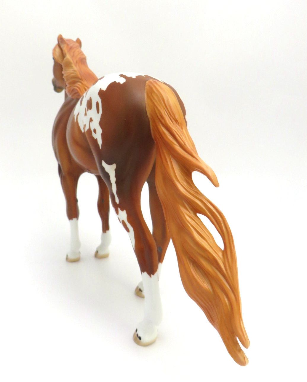 PAW PAW -- LE-5 BLANKET CHESTNUT APPALOOSA  MUSTANG  BY DAWN QUICK EA/MW 20