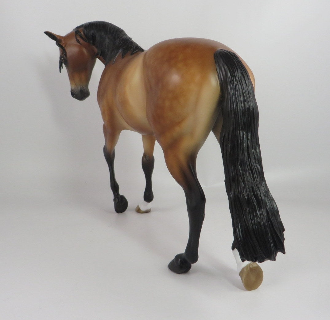 PAYNE-OOAK STAR DAPPLE BUCKSKIN THOROUGHBRED BY SHERYL LEISURE WHS19