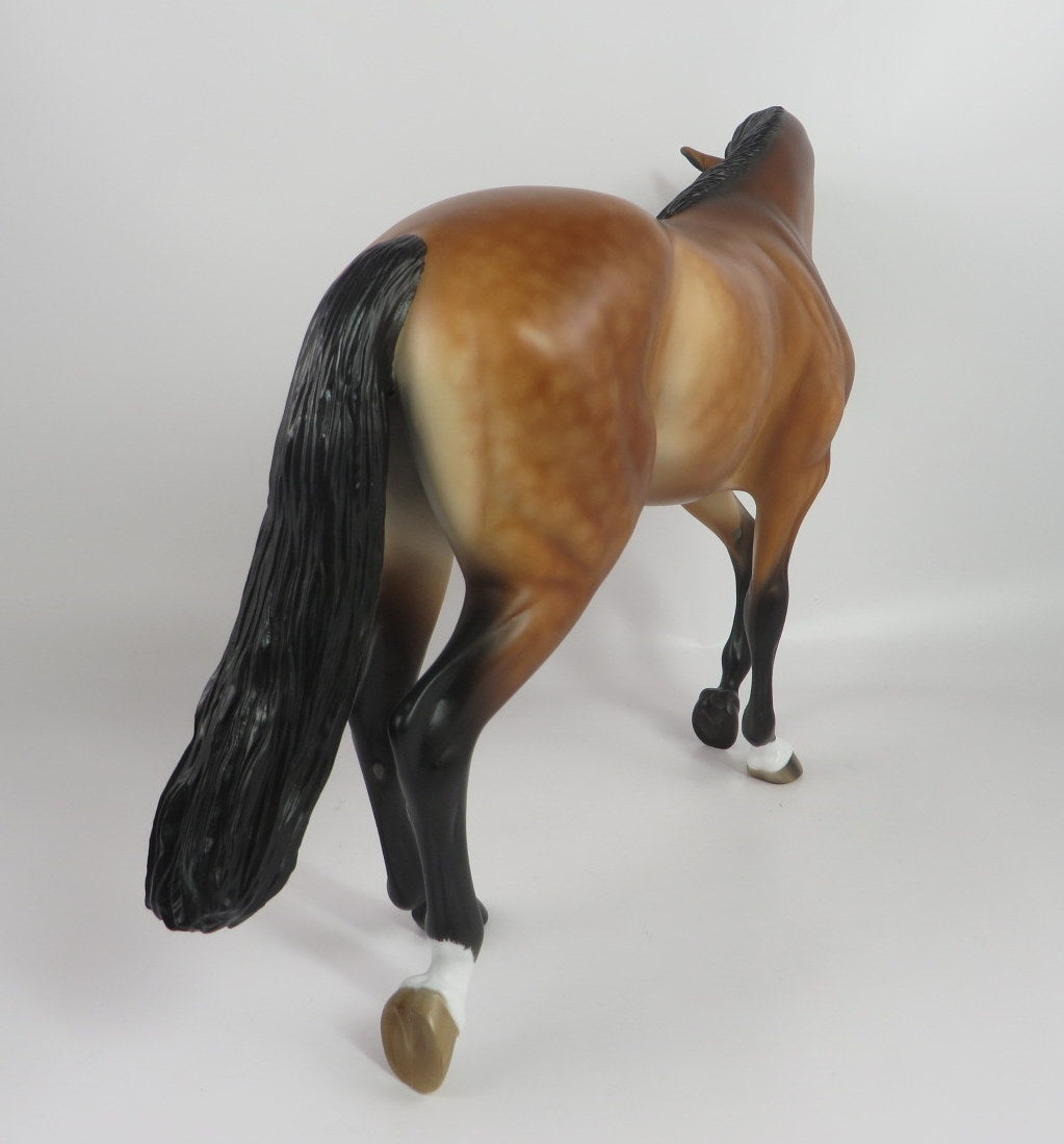 PAYNE-OOAK STAR DAPPLE BUCKSKIN THOROUGHBRED BY SHERYL LEISURE WHS19