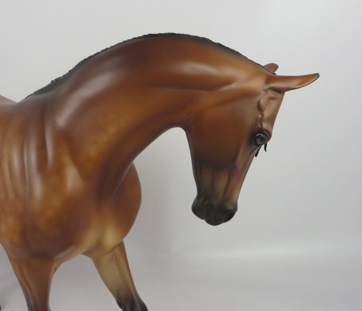 PAYNE-OOAK STAR DAPPLE BUCKSKIN THOROUGHBRED BY SHERYL LEISURE WHS19