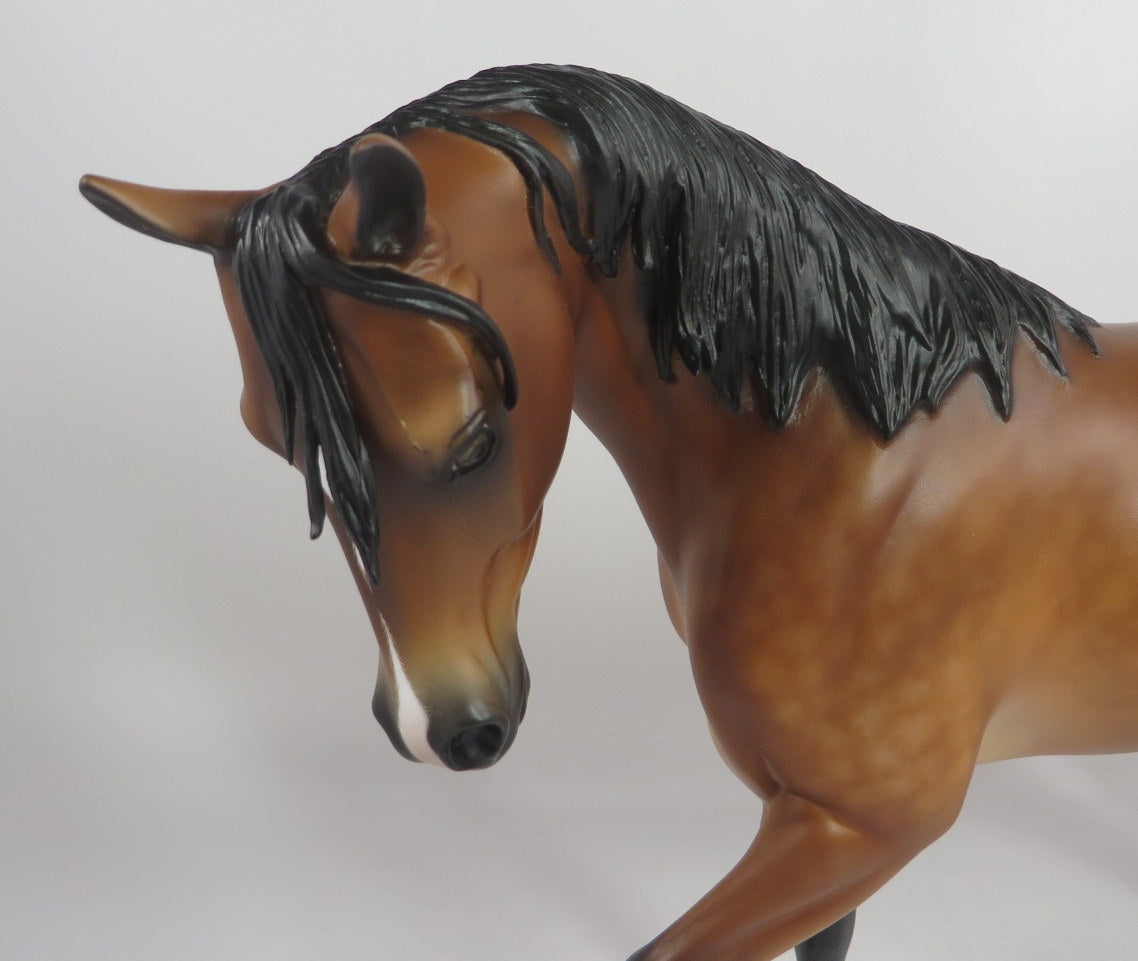 PAYNE-OOAK STAR DAPPLE BUCKSKIN THOROUGHBRED BY SHERYL LEISURE WHS19