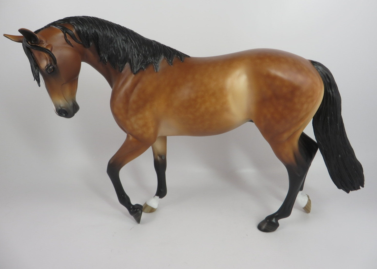 PAYNE-OOAK STAR DAPPLE BUCKSKIN THOROUGHBRED BY SHERYL LEISURE WHS19
