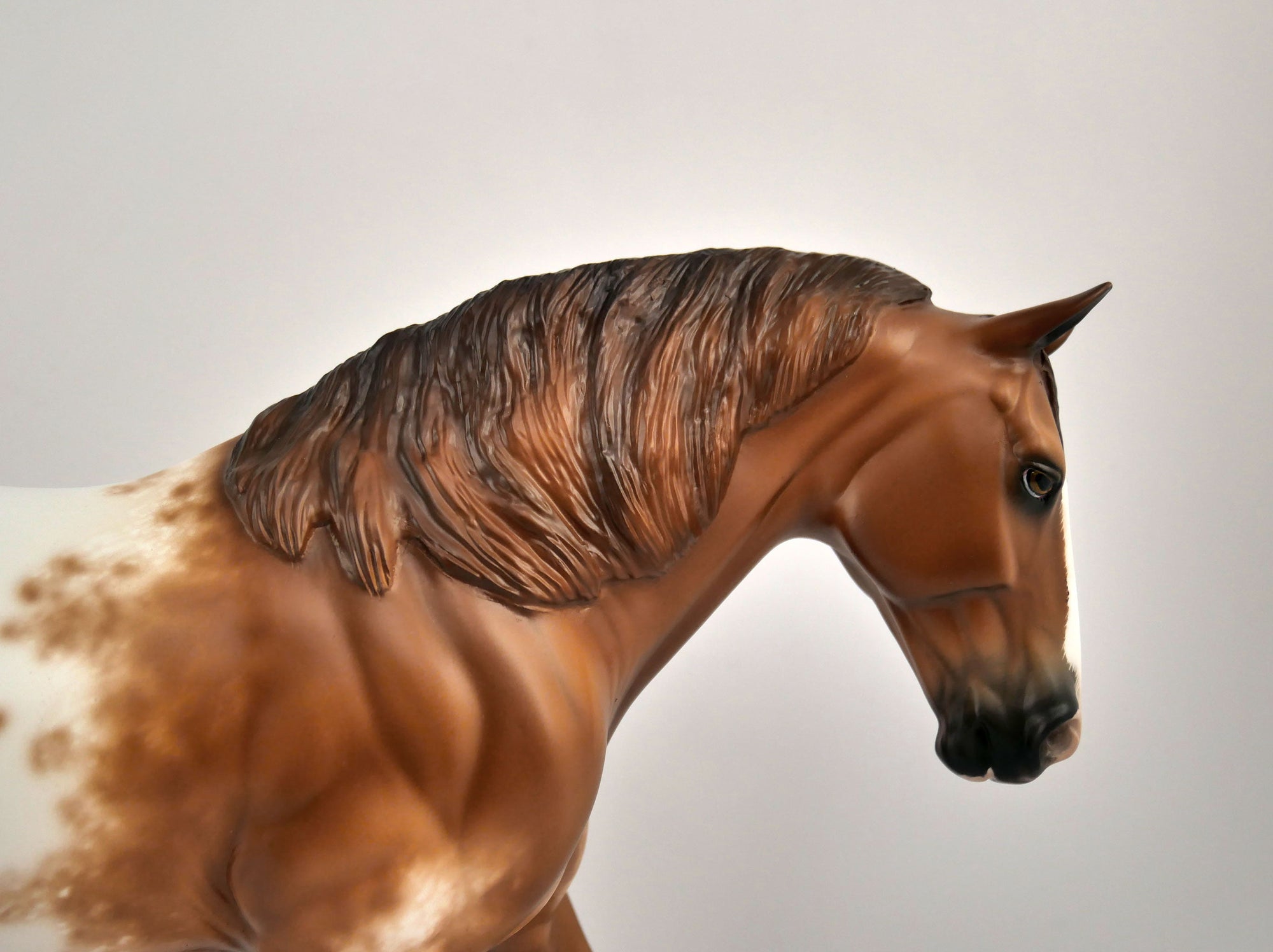 PAZI -OOAK CHESTNUT APPY BY SHERYL LEISURE 10/27/20