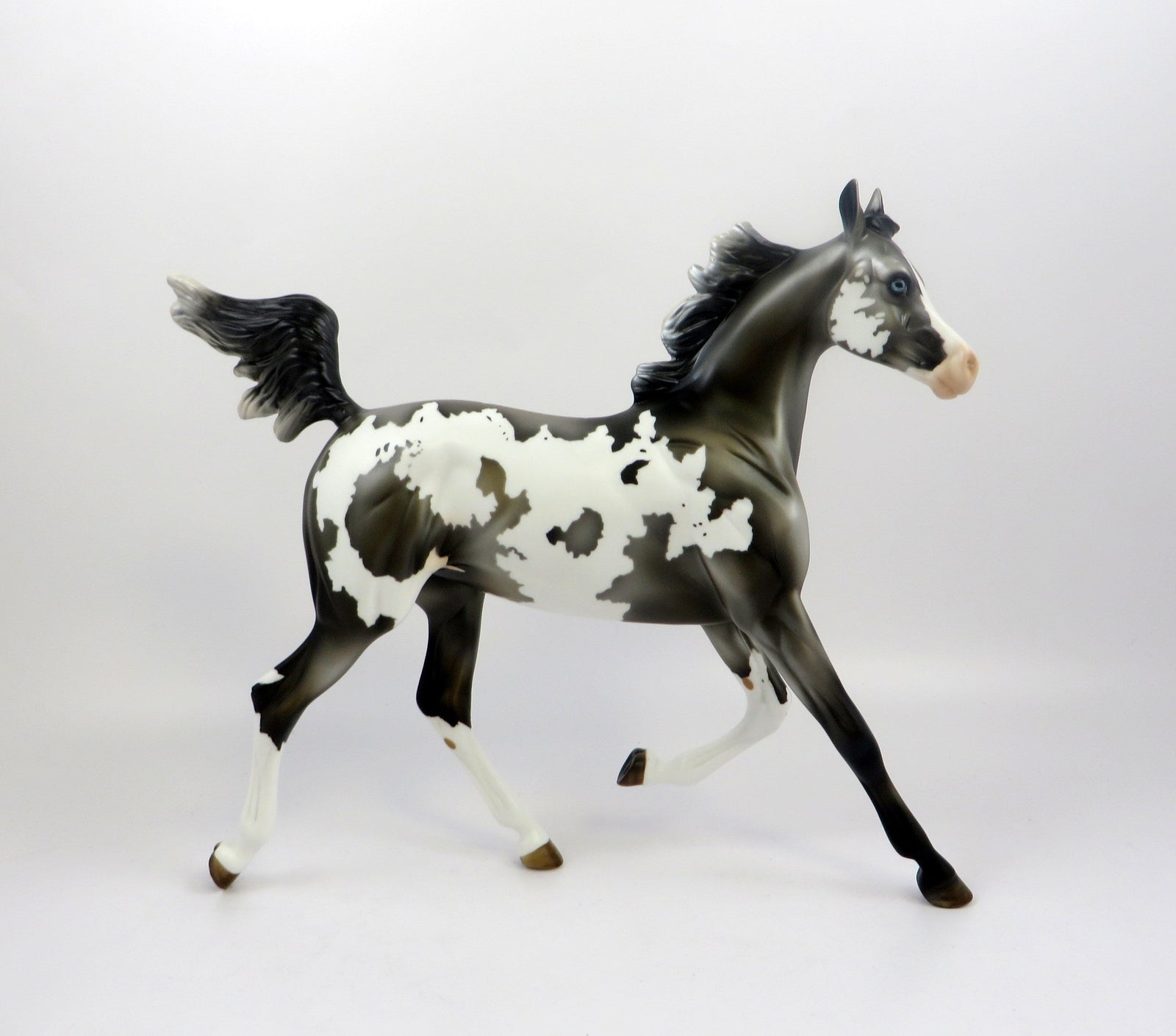 PENELOPE-LE-2 GRULLA YEARLING BY MISSY EQ 19