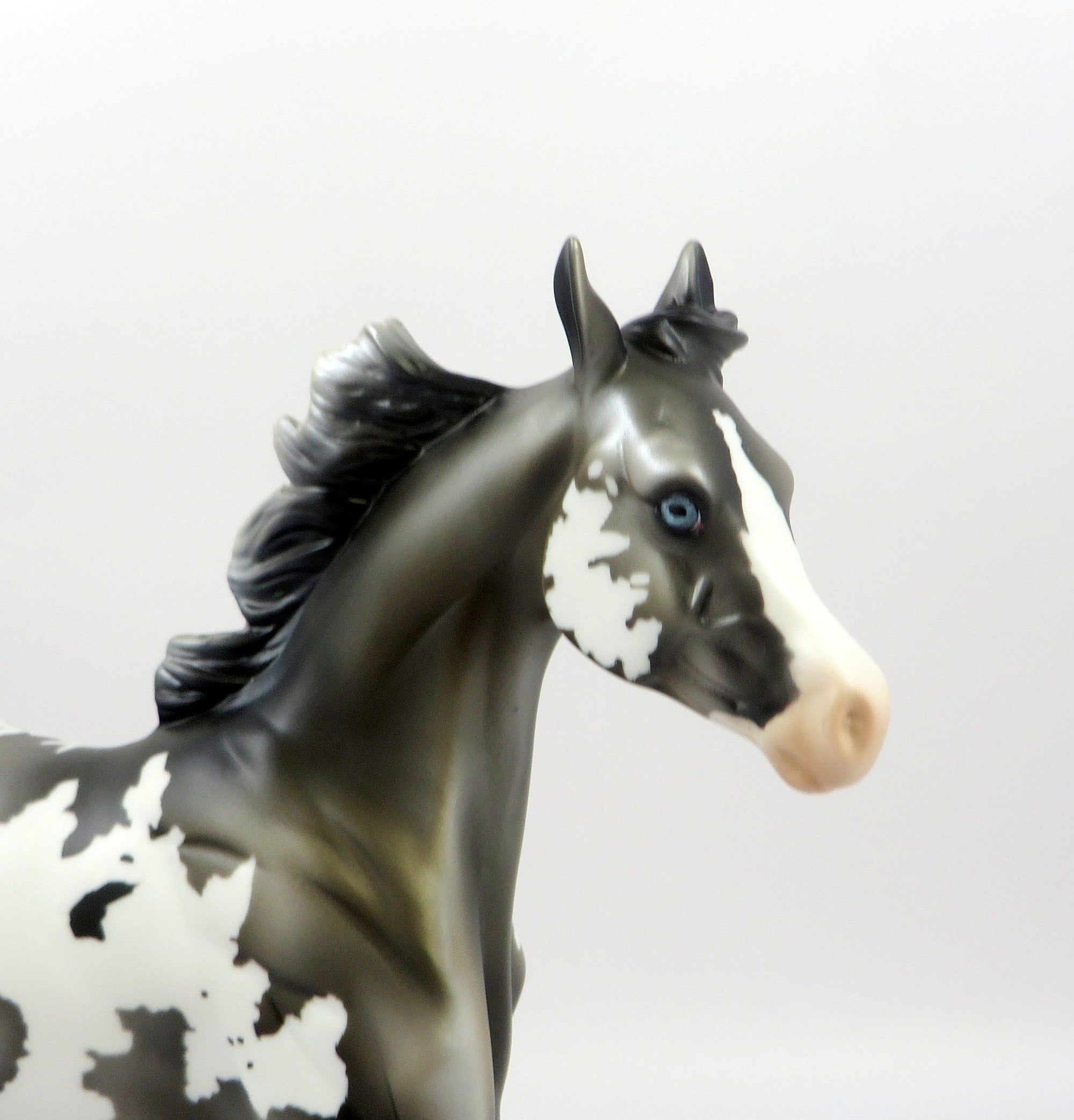 PENELOPE-LE-2 GRULLA YEARLING BY MISSY EQ 19