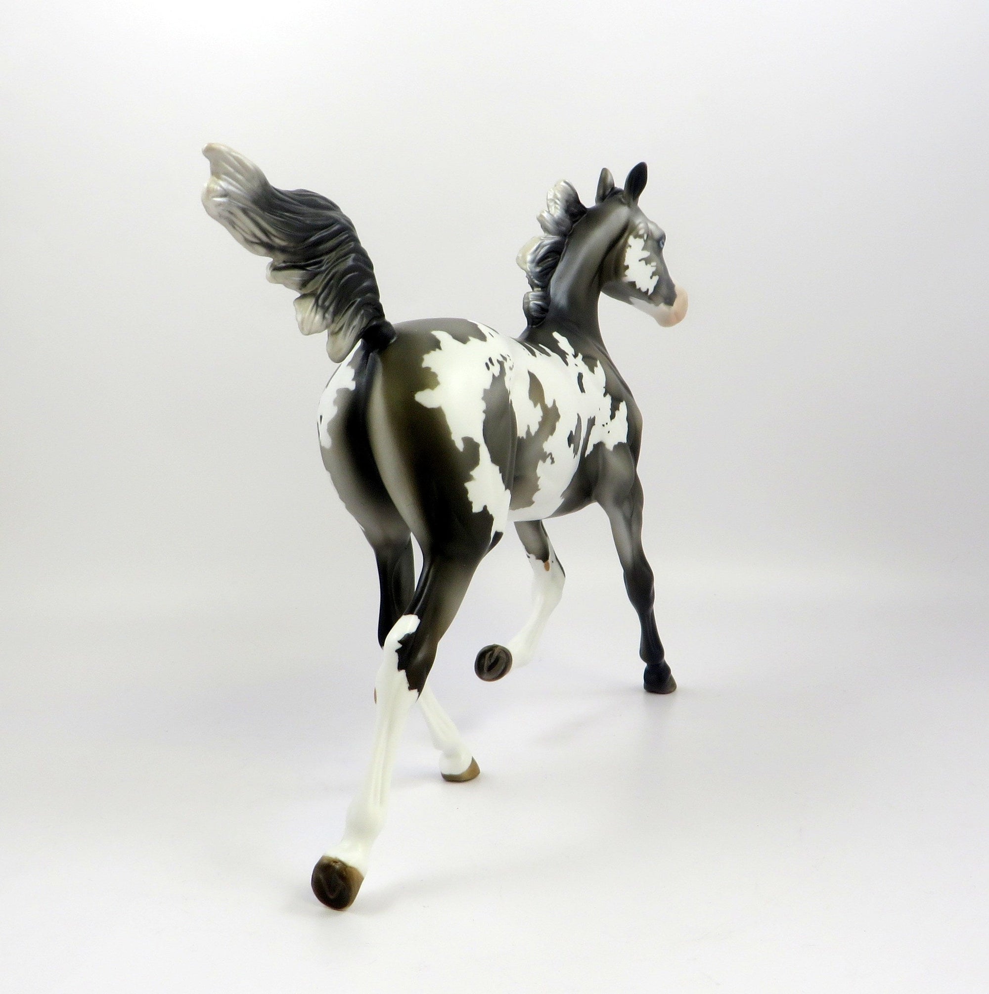 PENELOPE-LE-2 GRULLA YEARLING BY MISSY EQ 19