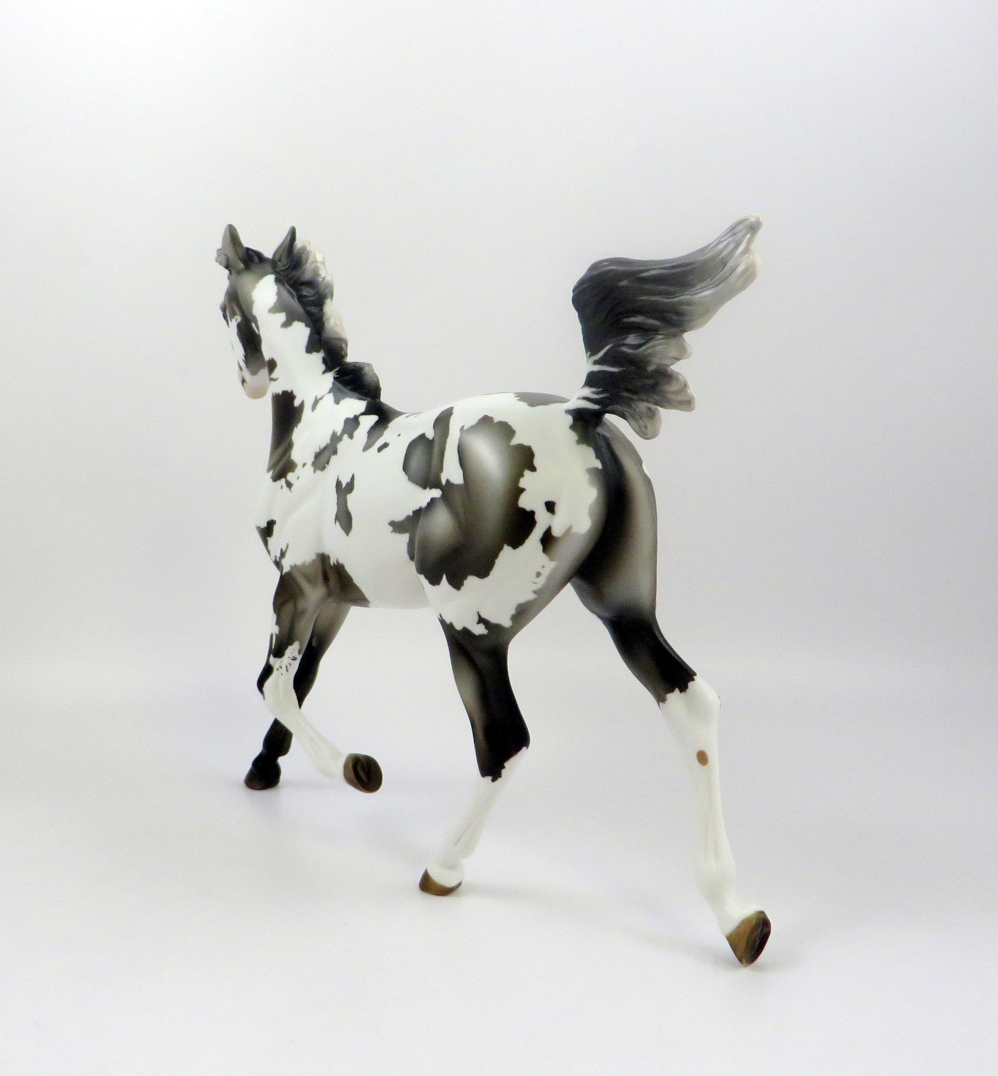 PENELOPE-LE-2 GRULLA YEARLING BY MISSY EQ 19