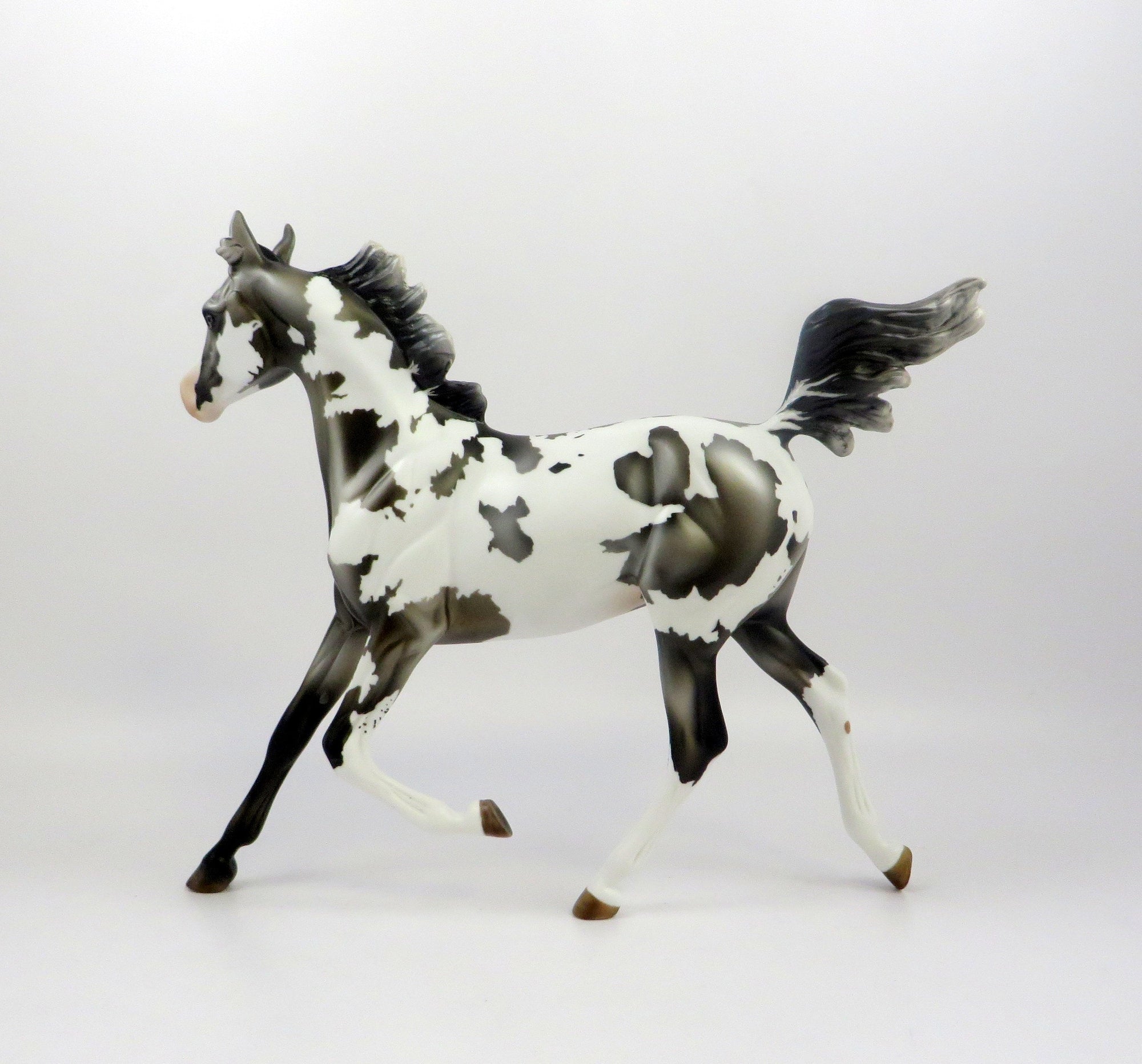 PENELOPE-LE-2 GRULLA YEARLING BY MISSY EQ 19