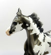 PENELOPE-LE-2 GRULLA YEARLING BY MISSY EQ 19