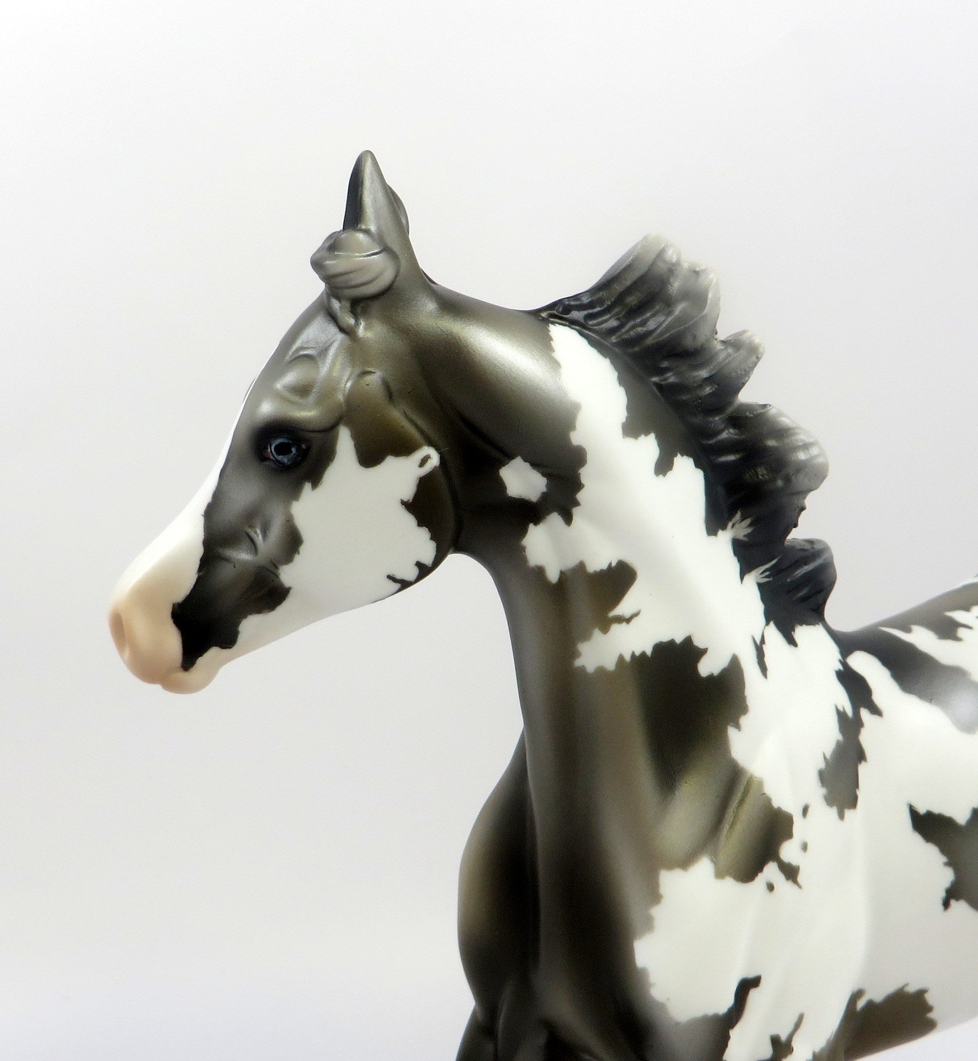 PENELOPE-LE-2 GRULLA YEARLING BY MISSY EQ 19