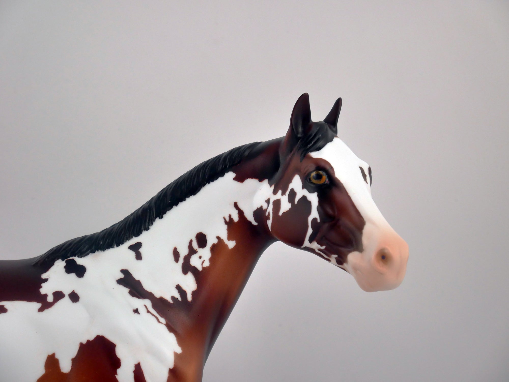 PERSIMMON-OOAK DARK BAY PINTO ISH BY DAWN QUICK