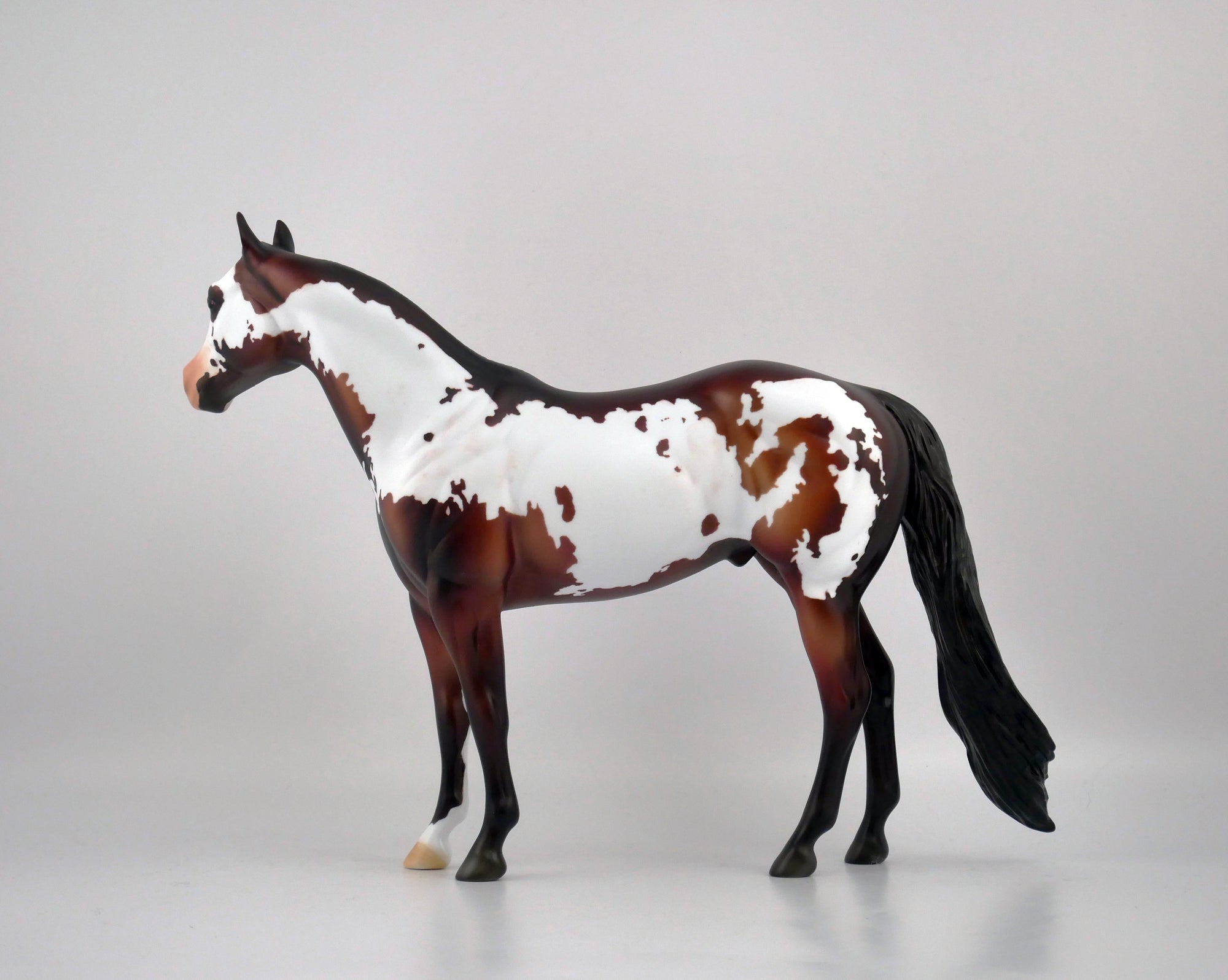 PERSIMMON-OOAK DARK BAY PINTO ISH BY DAWN QUICK