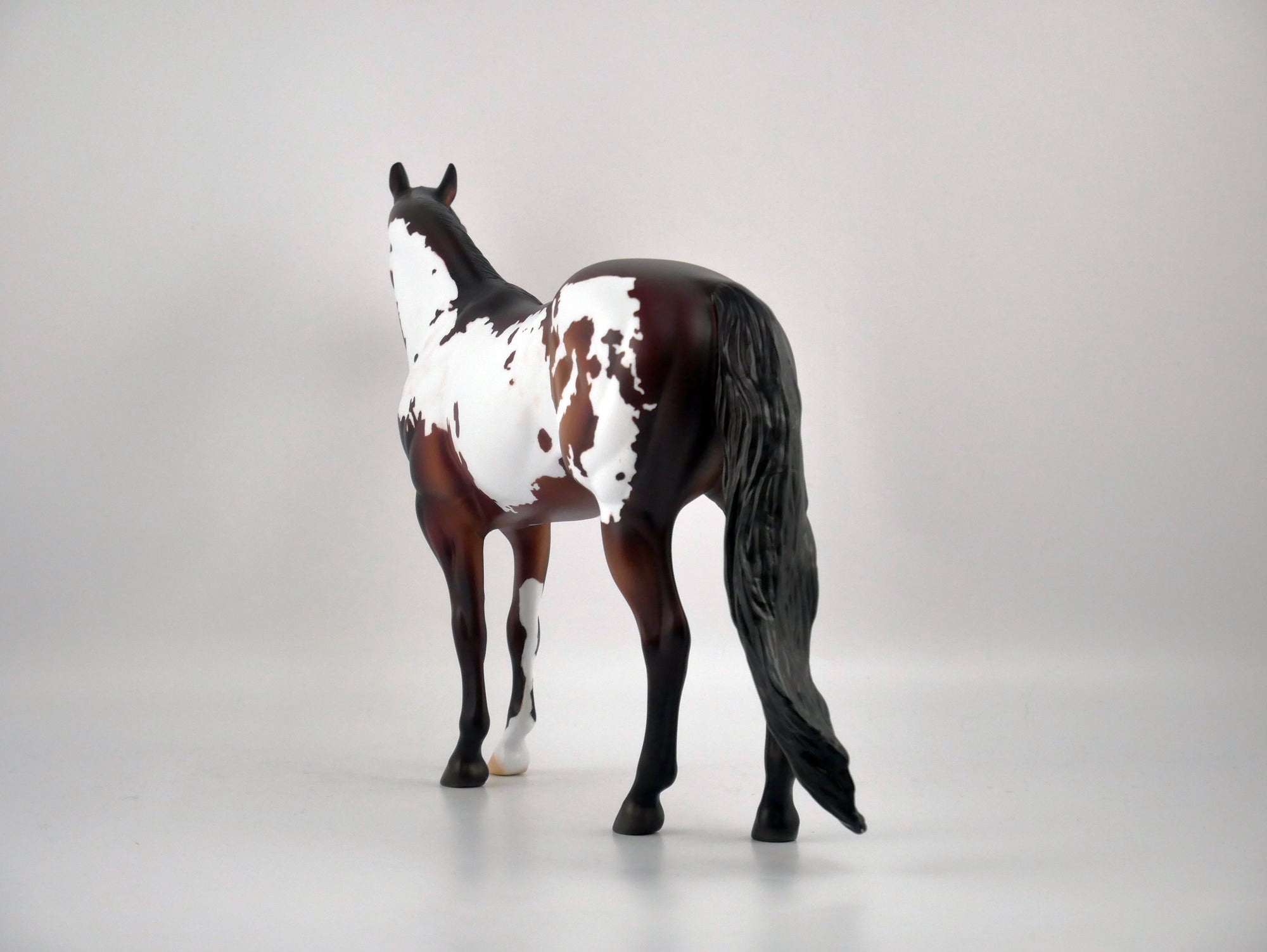 PERSIMMON-OOAK DARK BAY PINTO ISH BY DAWN QUICK