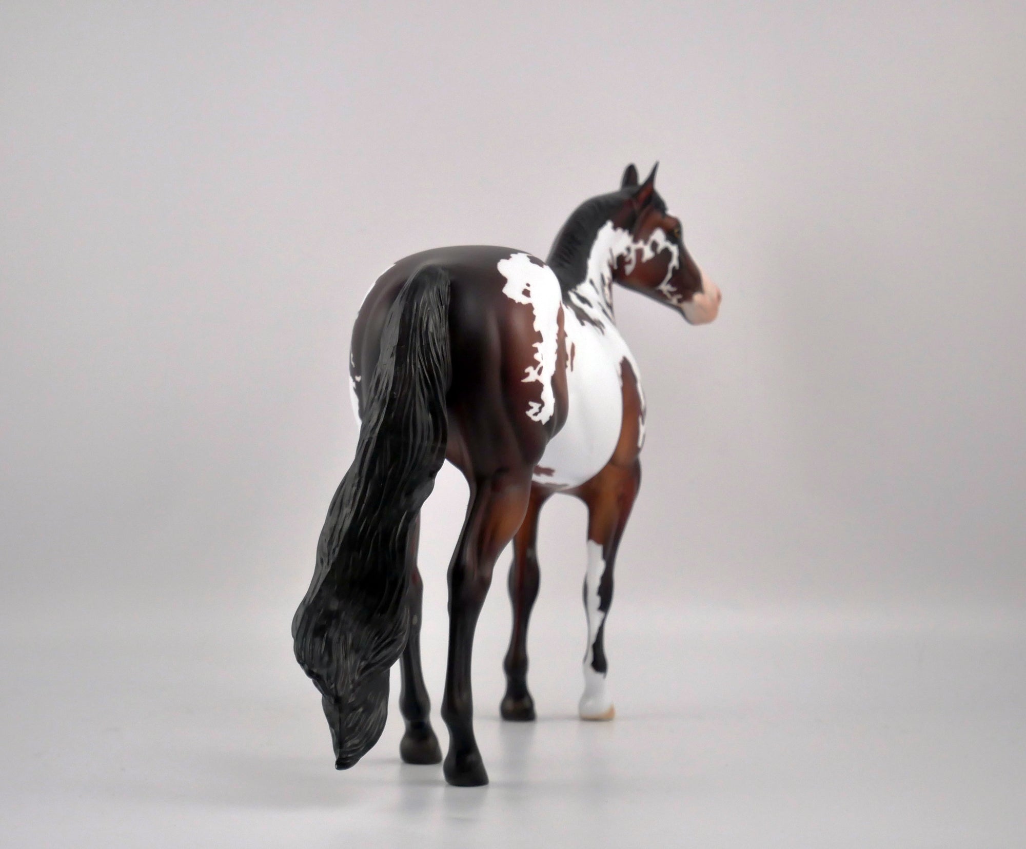 PERSIMMON-OOAK DARK BAY PINTO ISH BY DAWN QUICK