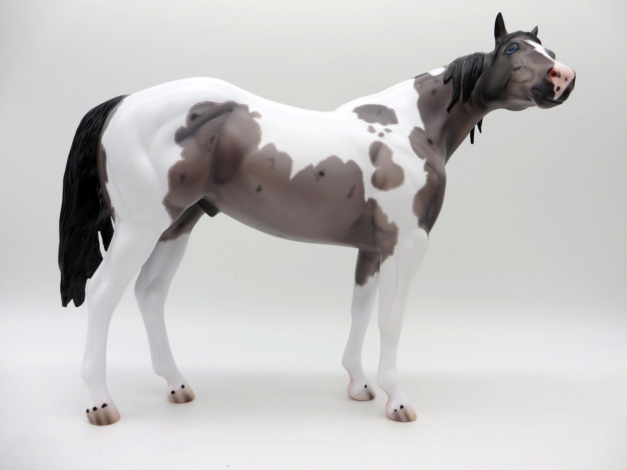 Kenya - OOAK Blue Roan Tobiano ISH Painted By Caroline Boydston #2