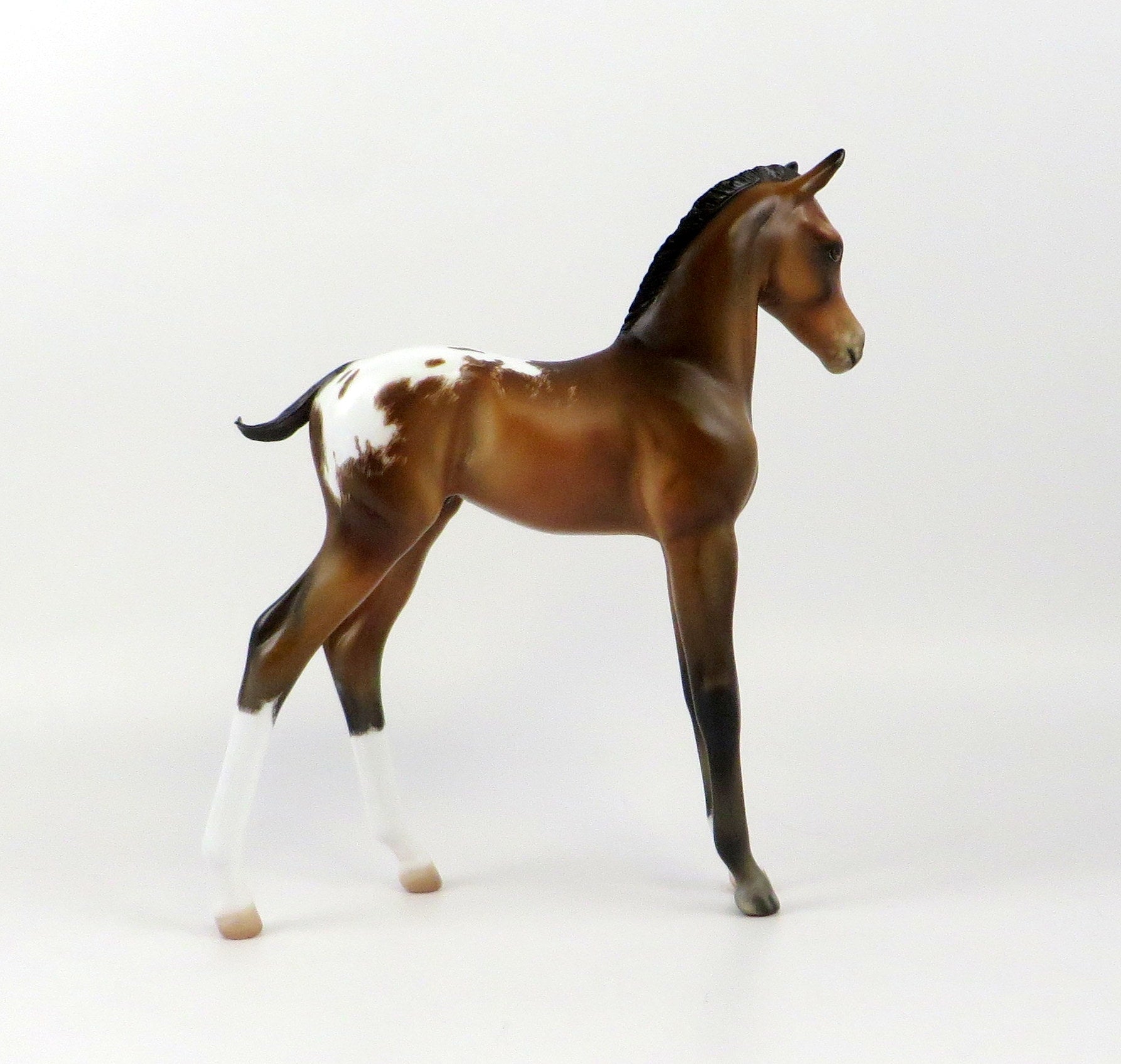 PIERS-OOAK BAY APPALOOSA ETCHED ARAB FOAL MODEL HORSE EQ 19