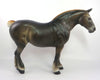liver chestnut 