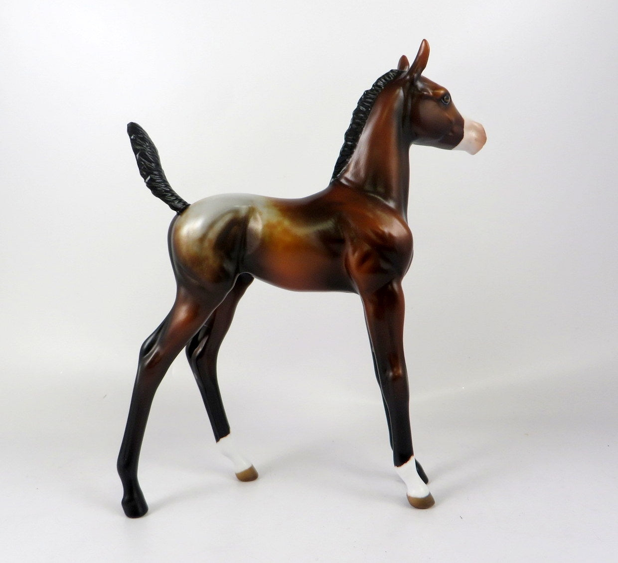 PIPPI-OOAK BAY APPY FOAL MODEL HORSE BY MELISSA FOX WHS19