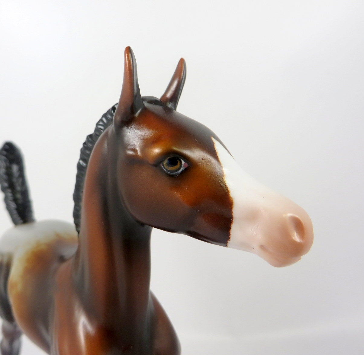 PIPPI-OOAK BAY APPY FOAL MODEL HORSE BY MELISSA FOX WHS19