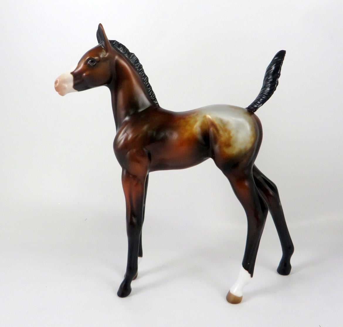 PIPPI-OOAK BAY APPY FOAL MODEL HORSE BY MELISSA FOX WHS19