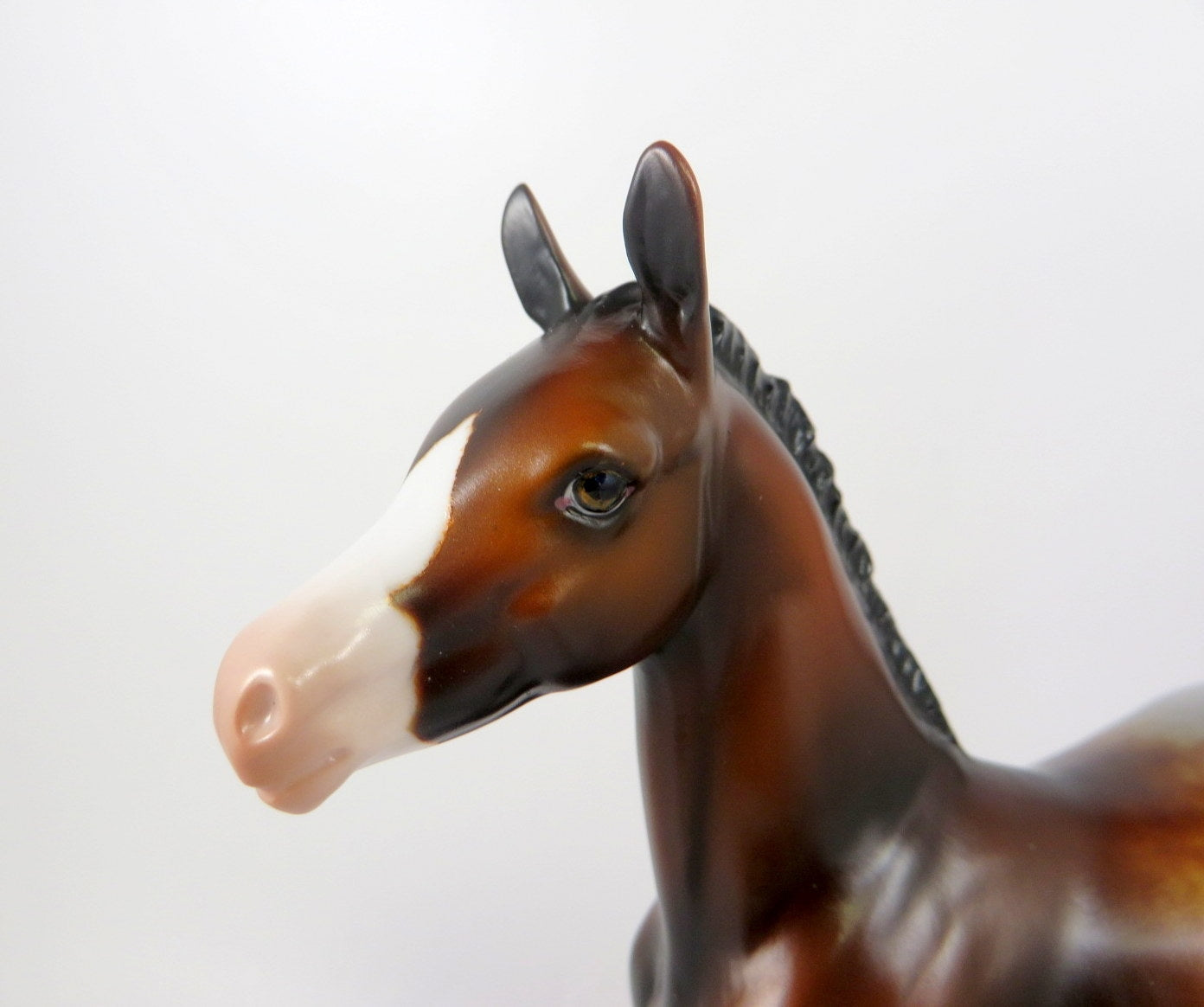 PIPPI-OOAK BAY APPY FOAL MODEL HORSE BY MELISSA FOX WHS19