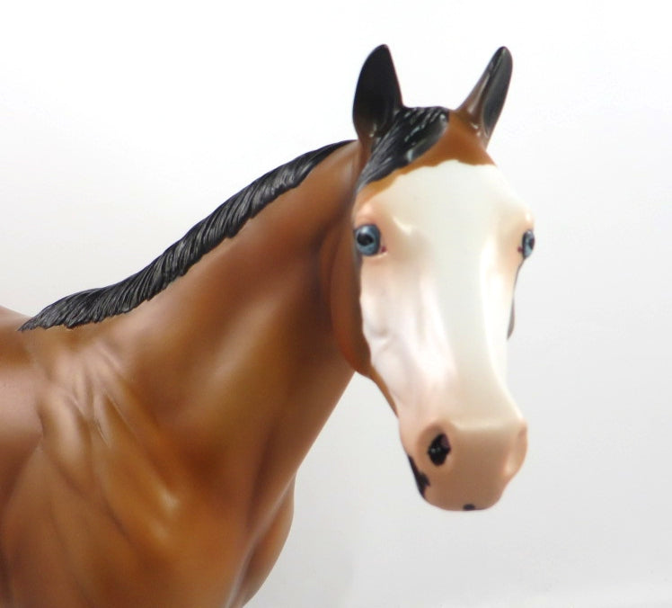 PJ BROWN-LE-6 BAY PINTO ISH MODEL HORSE PJ2020