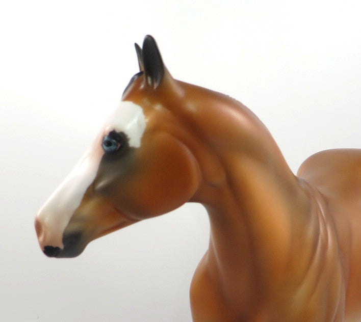 PJ BROWN-LE-6 BAY PINTO ISH MODEL HORSE PJ2020