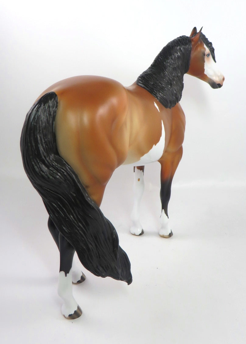 PJ BROWN-LE-6 BAY PINTO CM ISH MODEL HORSE PJ2020