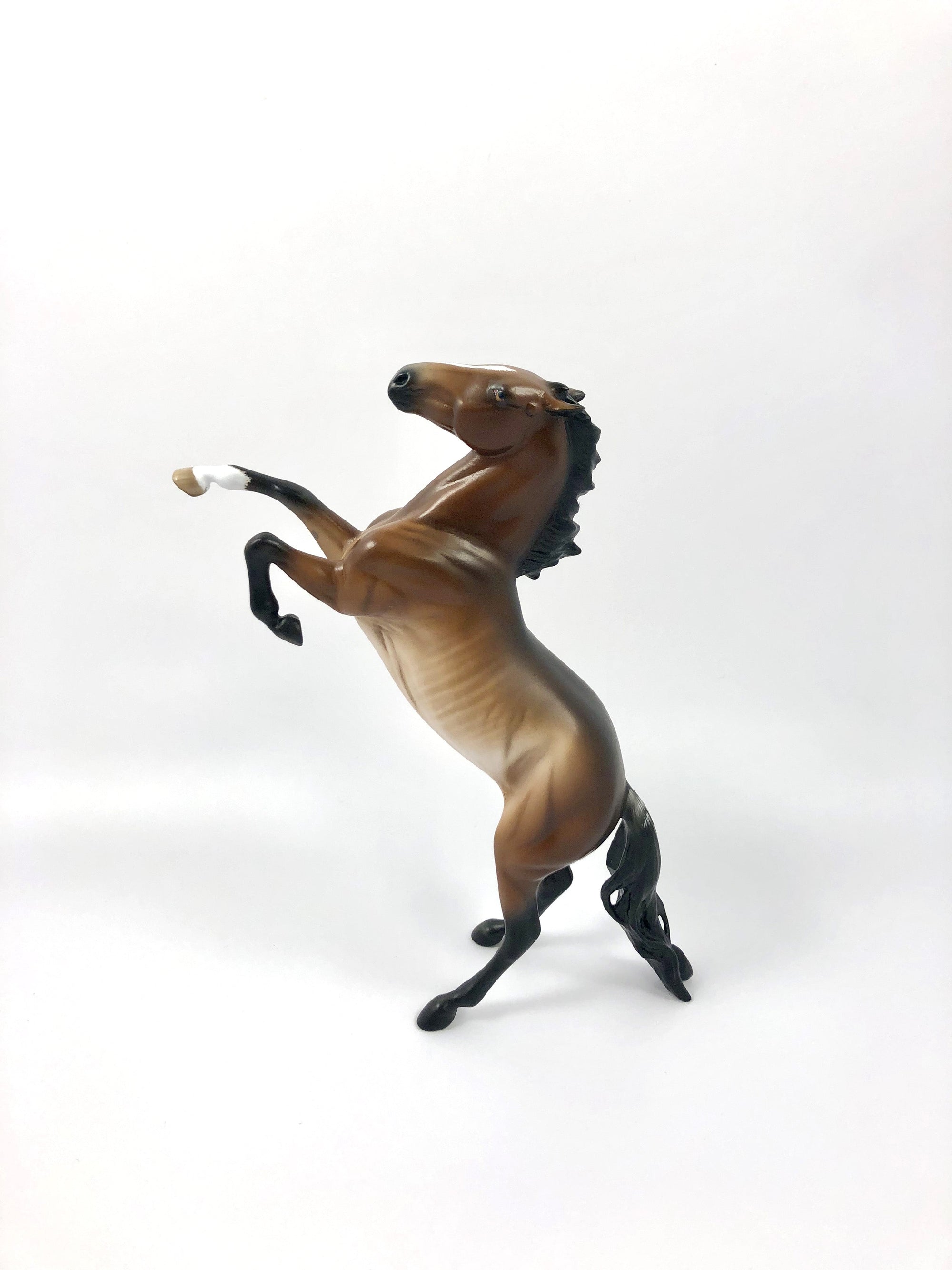 PLAY HARDER-- RED BAY RABICANO REARING PEBBLES BY SHERYL LEISURE 4/25/19