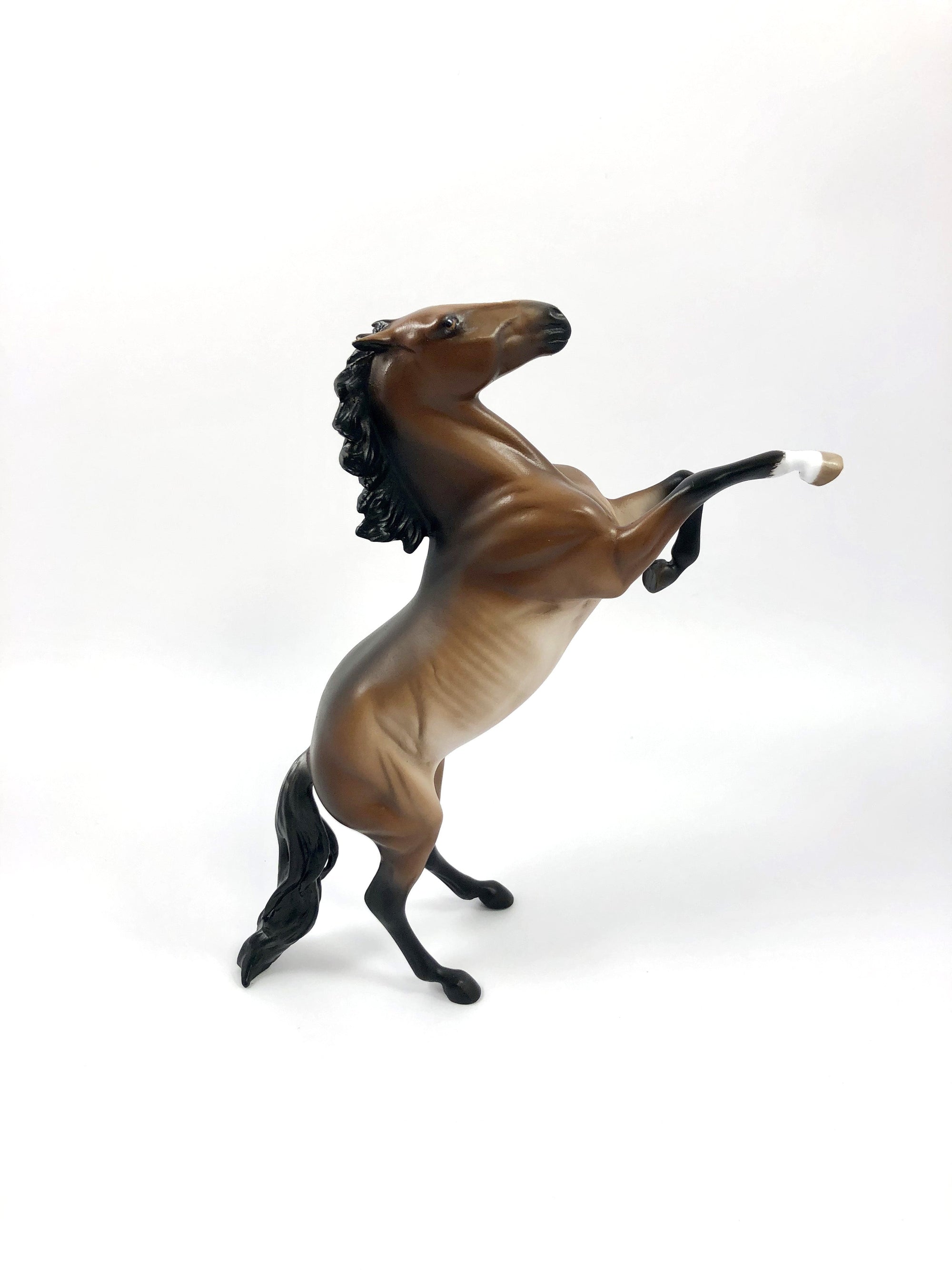 PLAY HARDER-- RED BAY RABICANO REARING PEBBLES BY SHERYL LEISURE 4/25/19