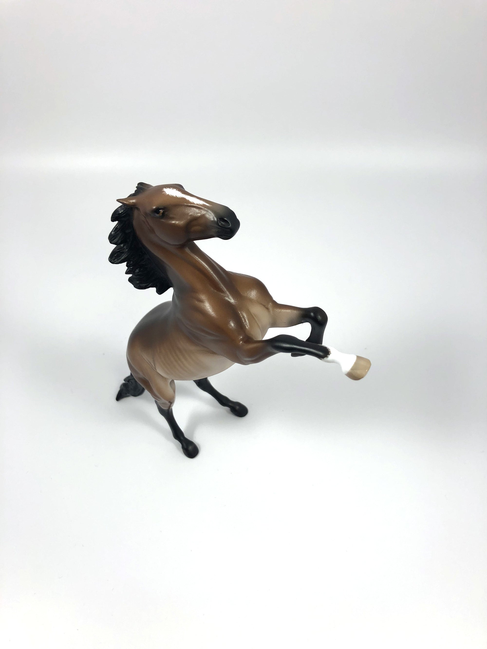 PLAY HARDER-- RED BAY RABICANO REARING PEBBLES BY SHERYL LEISURE 4/25/19