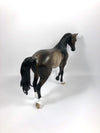 POOLSIDE COOLER-OOAK BAY RABICANO CM TB MODEL HORSE BY SHERYL LEISURE 4/25/19