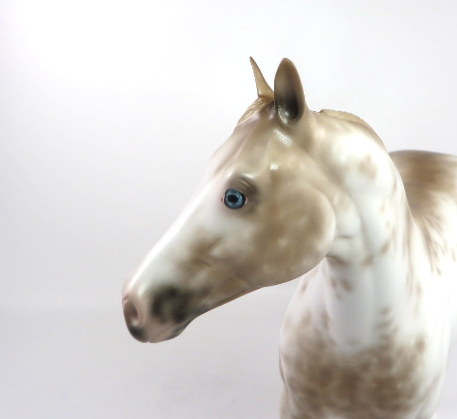 POUTINE - OOAK CHESTNUT SABINO ISH BY SHERYL LEISURE 02/24/20