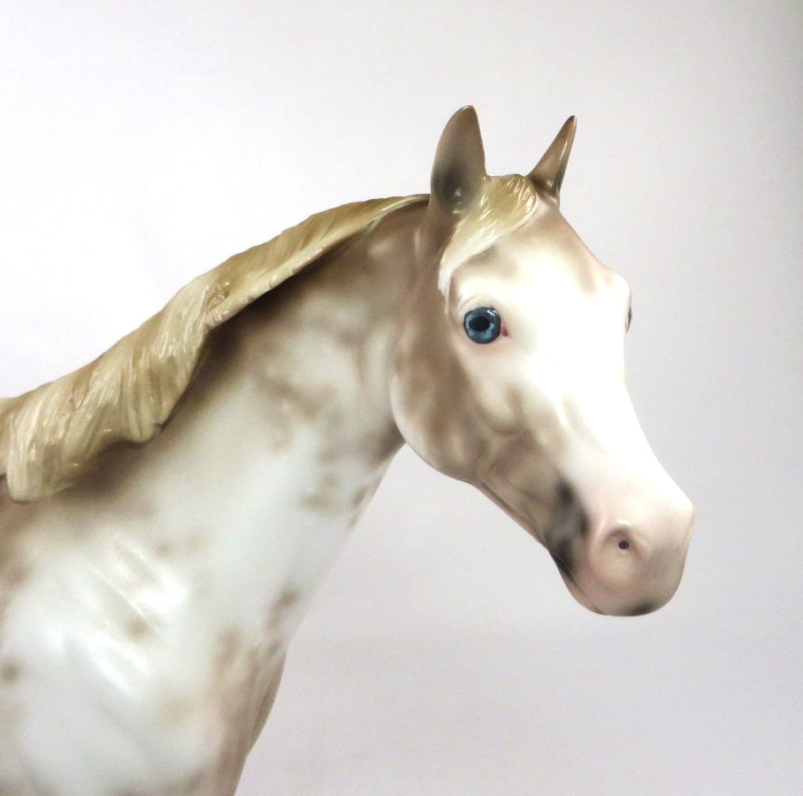 POUTINE - OOAK CHESTNUT SABINO ISH BY SHERYL LEISURE 02/24/20