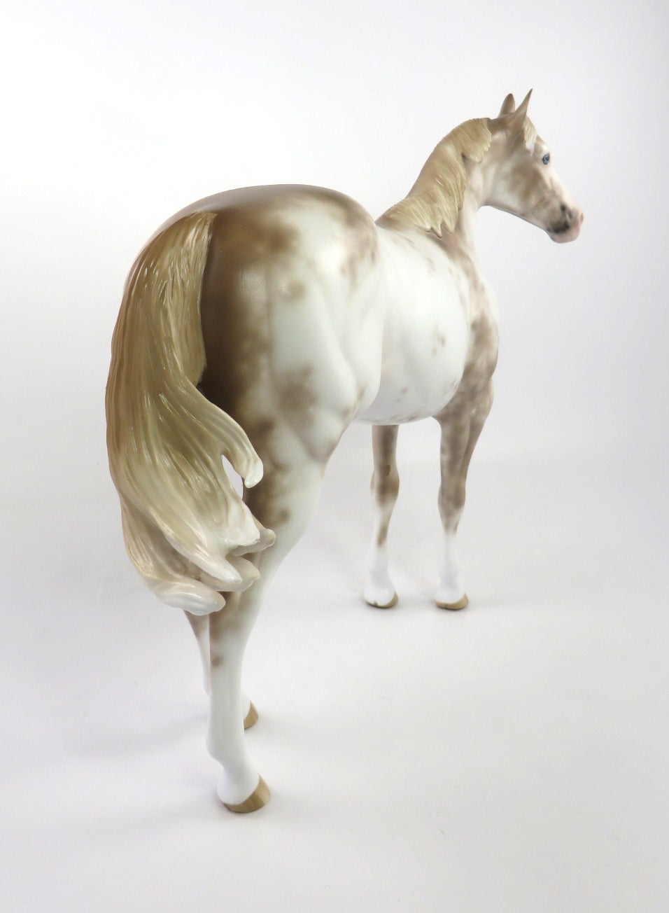 POUTINE - OOAK CHESTNUT SABINO ISH BY SHERYL LEISURE 02/24/20