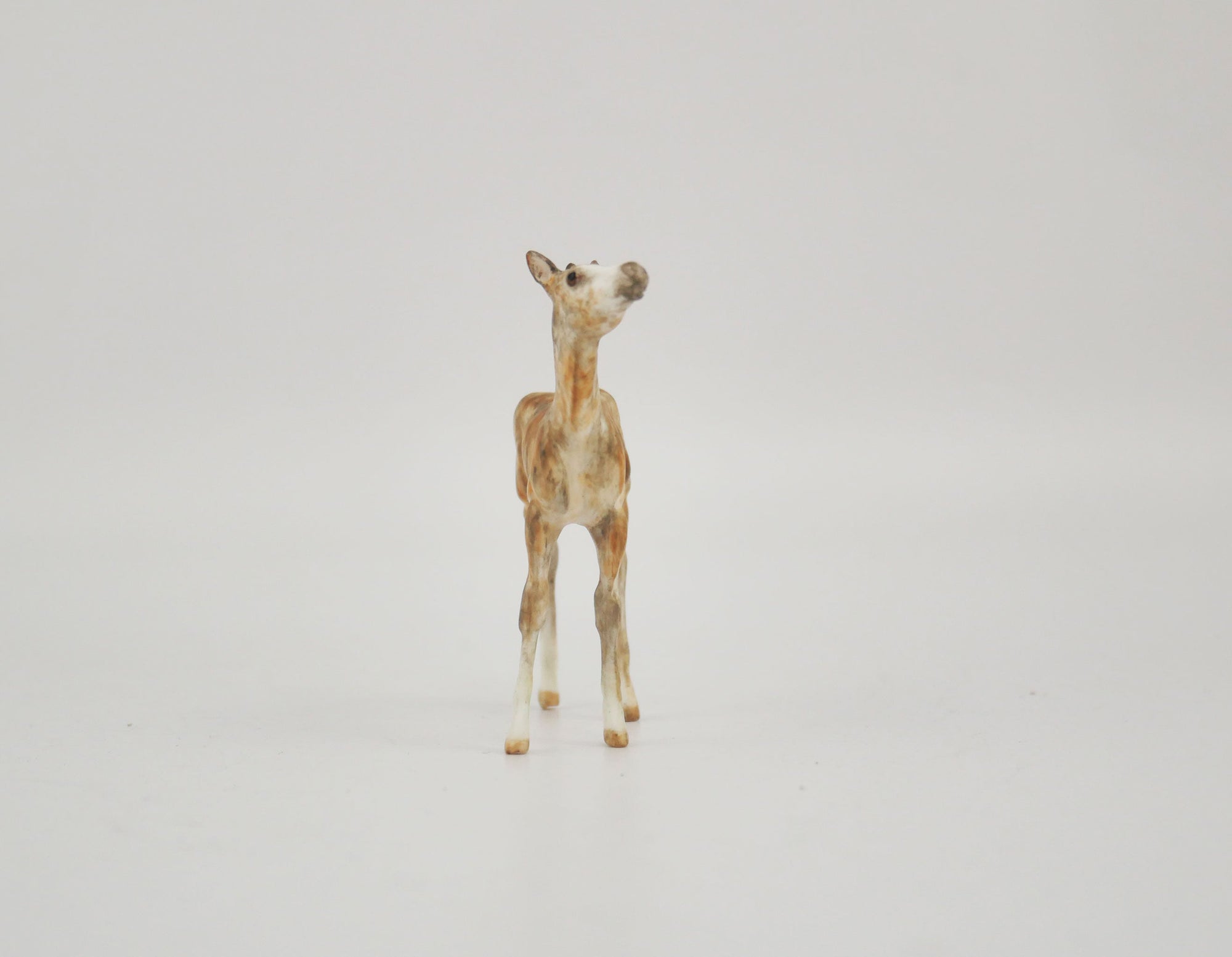 Precious-OOAK Foal Brindle Chip By Andrea MM 2020