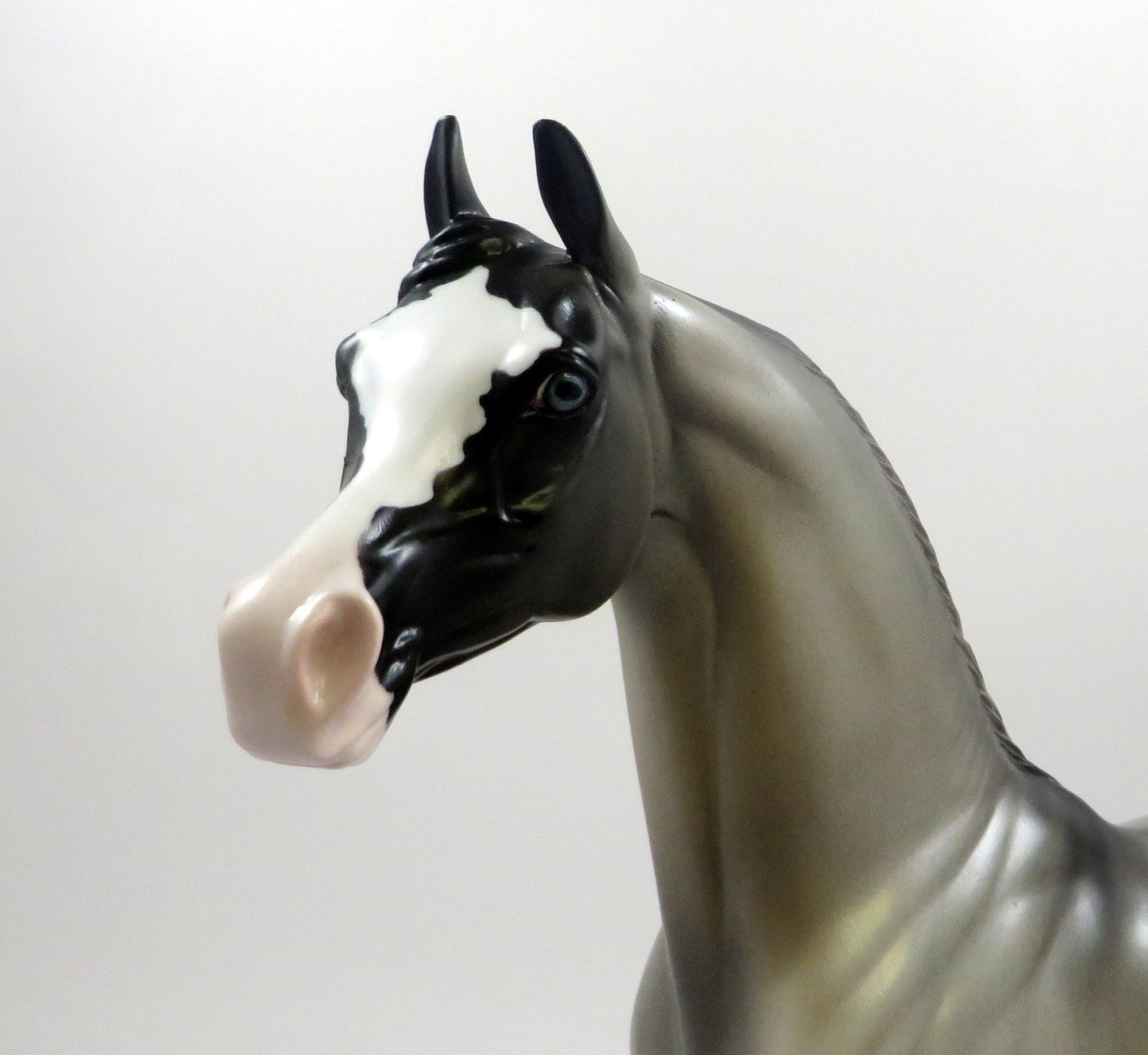 PRESTIGIOUS-OOAK GRALLA ARABIAN MODEL HORSE EQ 2019